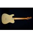 JET JT-350 BSC SS GITARA ELEKTRIČNA