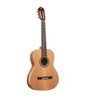 ORTEGA R20GSNRG TRADITIONAL SERIES 4/4 GITARA KLASIČNA