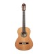 ORTEGA R20GSNRG TRADITIONAL SERIES 4/4 GITARA KLASIČNA