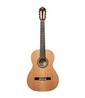 ORTEGA R20GSNRG TRADITIONAL SERIES 4/4 GITARA KLASIČNA