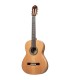 ORTEGA R20GSNRG TRADITIONAL SERIES 4/4 GITARA KLASIČNA