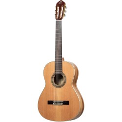 ORTEGA R20GSNRG TRADITIONAL SERIES 4/4 GITARA KLASIČNA