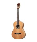 ORTEGA R20GSNRG TRADITIONAL SERIES 4/4 GITARA KLASIČNA