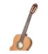 ORTEGA R20GSNRG TRADITIONAL SERIES 4/4 GITARA KLASIČNA