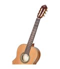 ORTEGA R20GSNRG TRADITIONAL SERIES 4/4 GITARA KLASIČNA