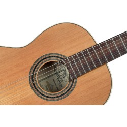 ORTEGA R20GSNRG TRADITIONAL SERIES 4/4 GITARA KLASIČNA