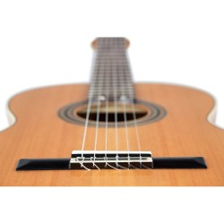 ORTEGA R20GSNRG TRADITIONAL SERIES 4/4 GITARA KLASIČNA