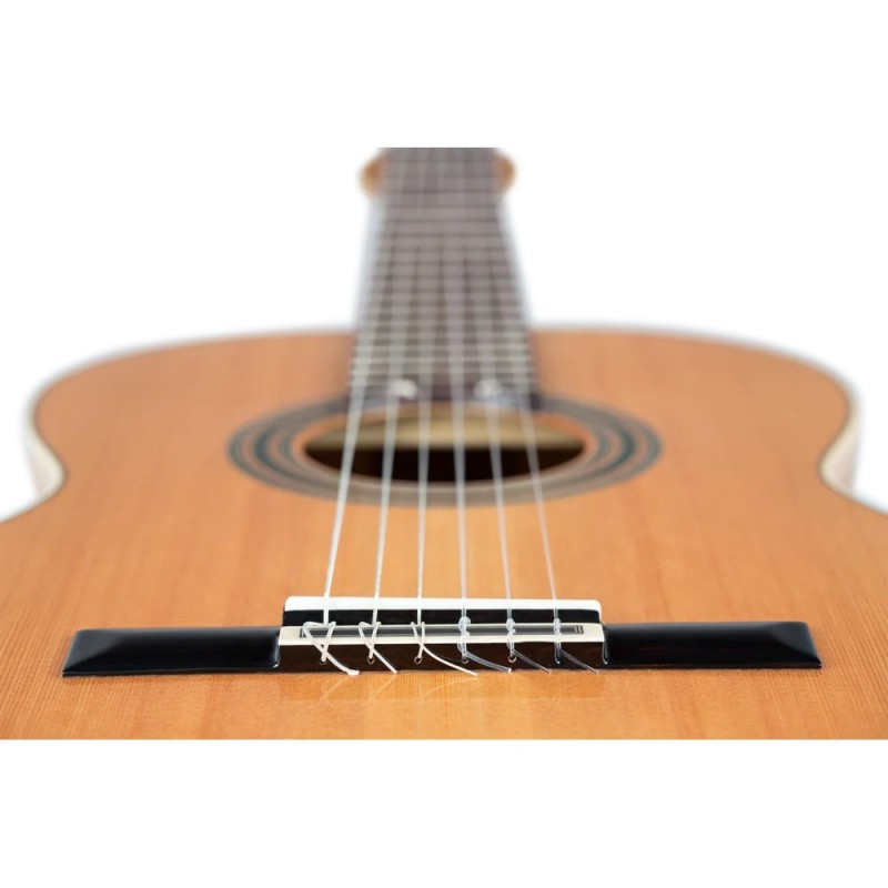 ORTEGA R20GSNRG TRADITIONAL SERIES 4/4 GITARA KLASIČNA