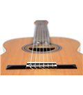 ORTEGA R20GSNRG TRADITIONAL SERIES 4/4 GITARA KLASIČNA