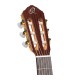 ORTEGA R20GSNRG TRADITIONAL SERIES 4/4 GITARA KLASIČNA