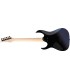 IBANEZ RG421DX-TWS GITARA ELEKTRIČNA