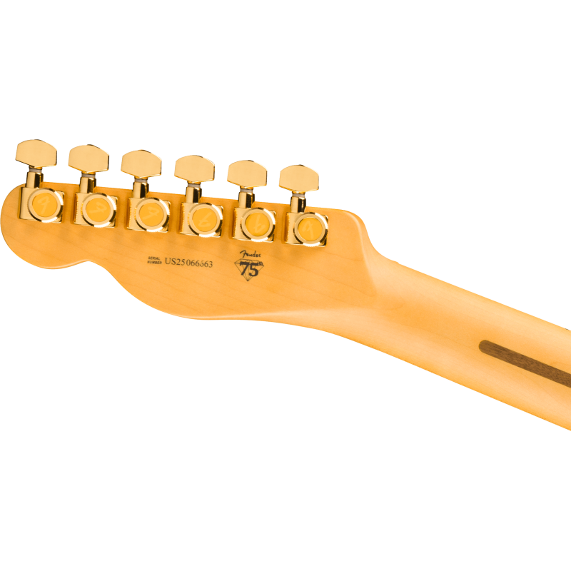 FENDER AMERICAN PRO CUSTOM 75th ANNIVERSARY TELECASTER MN 2TS GITARA ELEKTRIČNA