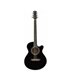 FLIGHT F230 BLK SET GITARA AKUSTIČNA