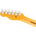FENDER AMERICAN PRO TELECASTER MN NAT X GITARA ELEKTRIČNA