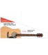 GITARA AKUSTIČNA FENDER FA-115 DREADNOUGHT PACK NAT