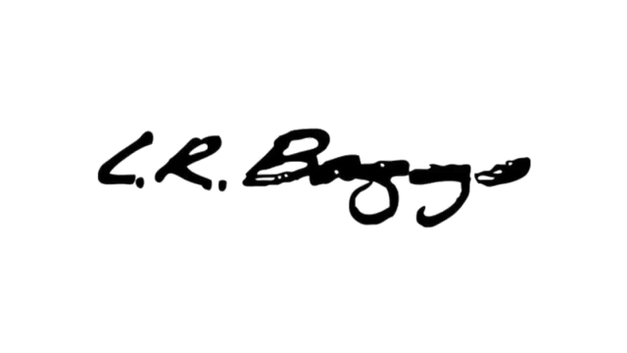LR Baggs