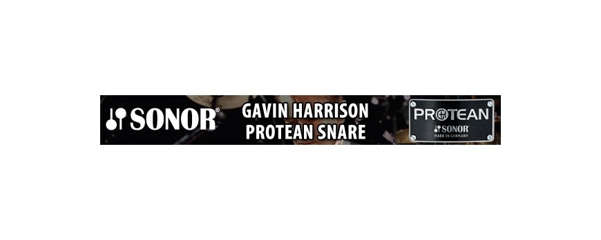 Gavin Harrison signature snare